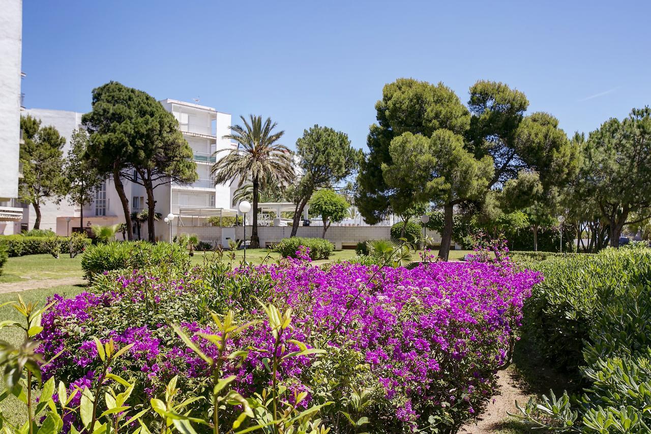 Apartment Ducal Mar De Playa Gandia *
